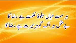 جشنِ ولادتِ رضا