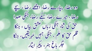 رضوی رنگ میں رنگ جاو مرے یار