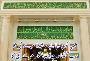 حج سریز(1)زائر مدینہ کی روانگی