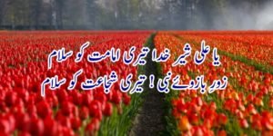 منقبت حضرت علی