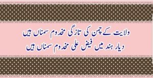 مخدوم سمناں کی حیات طیبہ پر ایک نظر