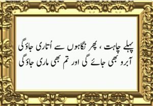 تم بھی ماری جاوگی