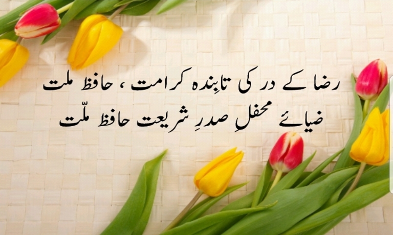 Mohabbat hi mohabbat hafize millat