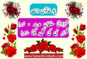 yaad khatoon jannat by fareedi misbahi
